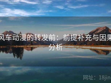 风车动漫的转发前：前提补充与因果分析