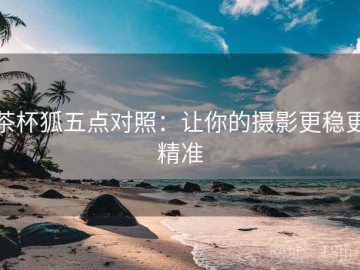 茶杯狐五点对照：让你的摄影更稳更精准