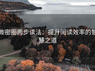 微密圈两步读法：提升阅读效率的智慧之道
