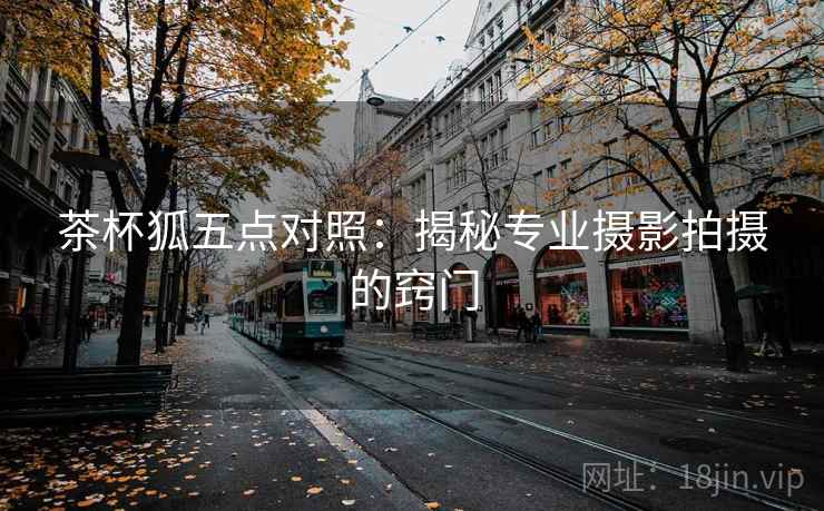 茶杯狐五点对照：揭秘专业摄影拍摄的窍门