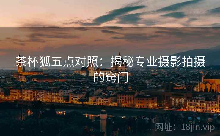 茶杯狐五点对照：揭秘专业摄影拍摄的窍门