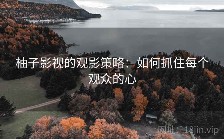 柚子影视的观影策略：如何抓住每个观众的心