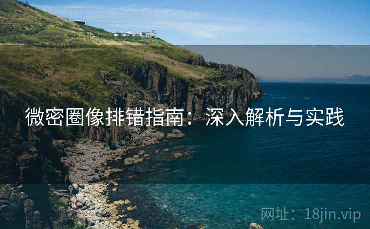 微密圈像排错指南：深入解析与实践