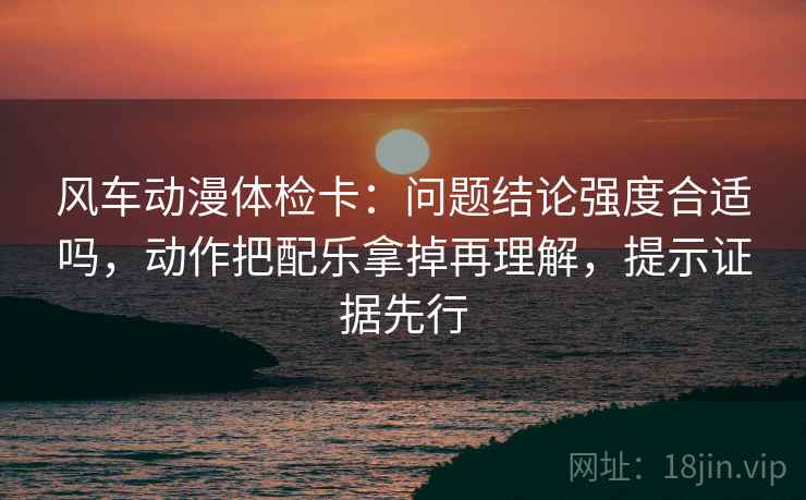 风车动漫体检卡：问题结论强度合适吗，动作把配乐拿掉再理解，提示证据先行